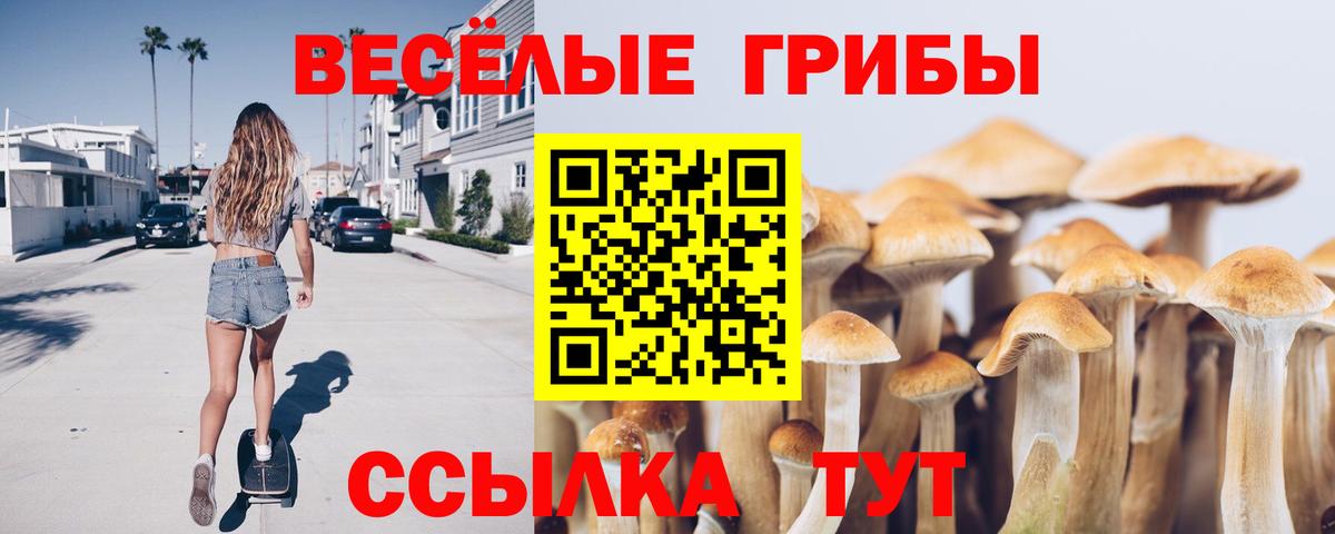 Томск  Галлюциногенные грибы мицелий  купить  цена  Вход с VPN 